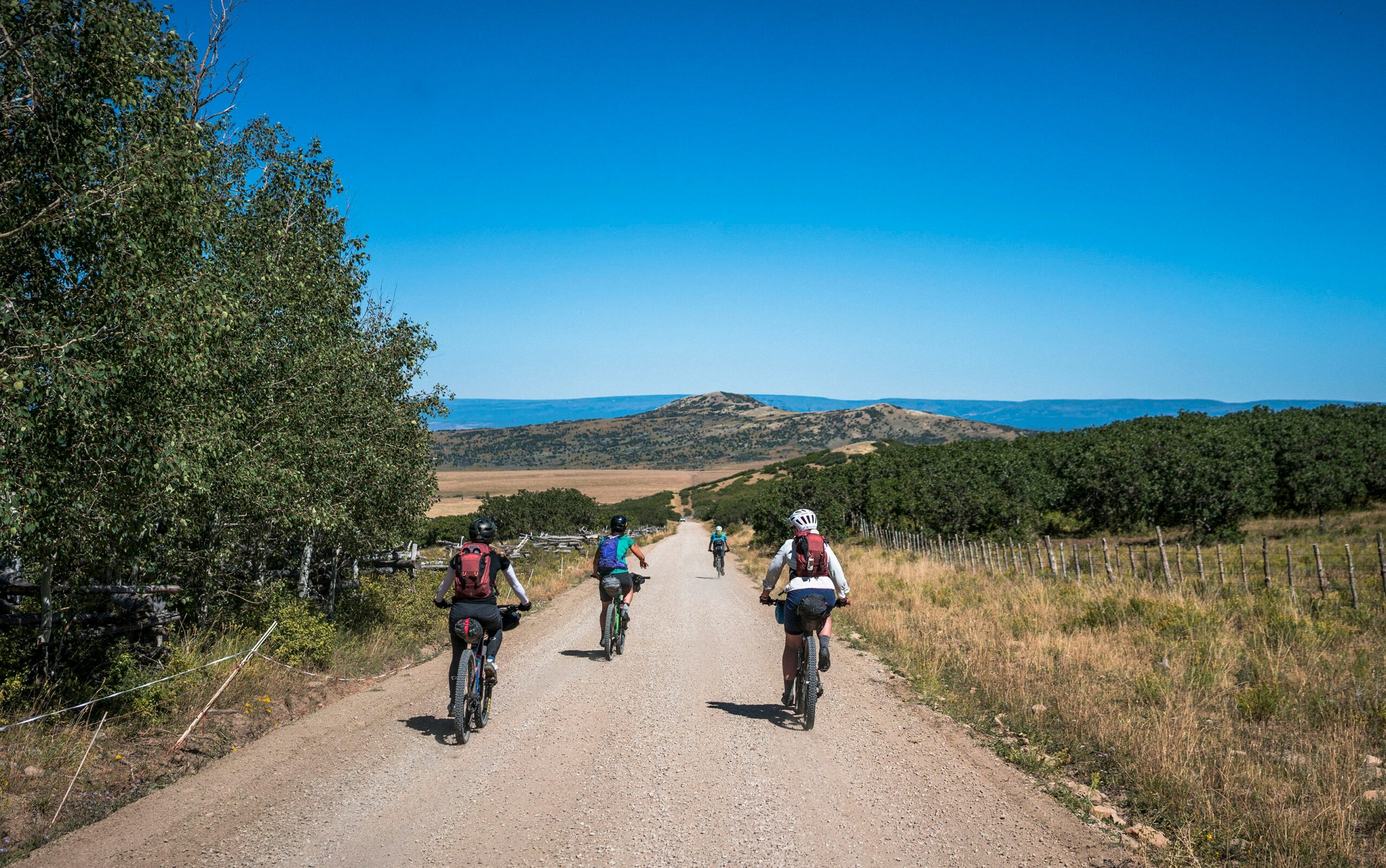 Mountain biking near Buena Vista and Salida