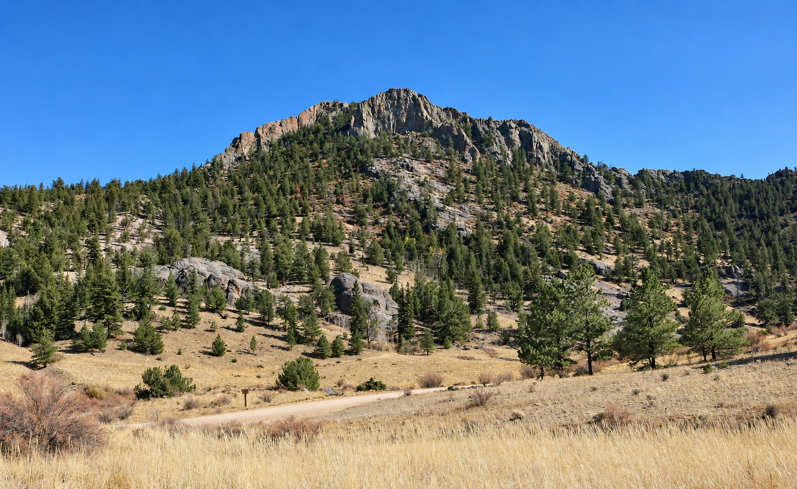 Castle Rock and public lands in the Fourmile area near Buena Vista, Colorado