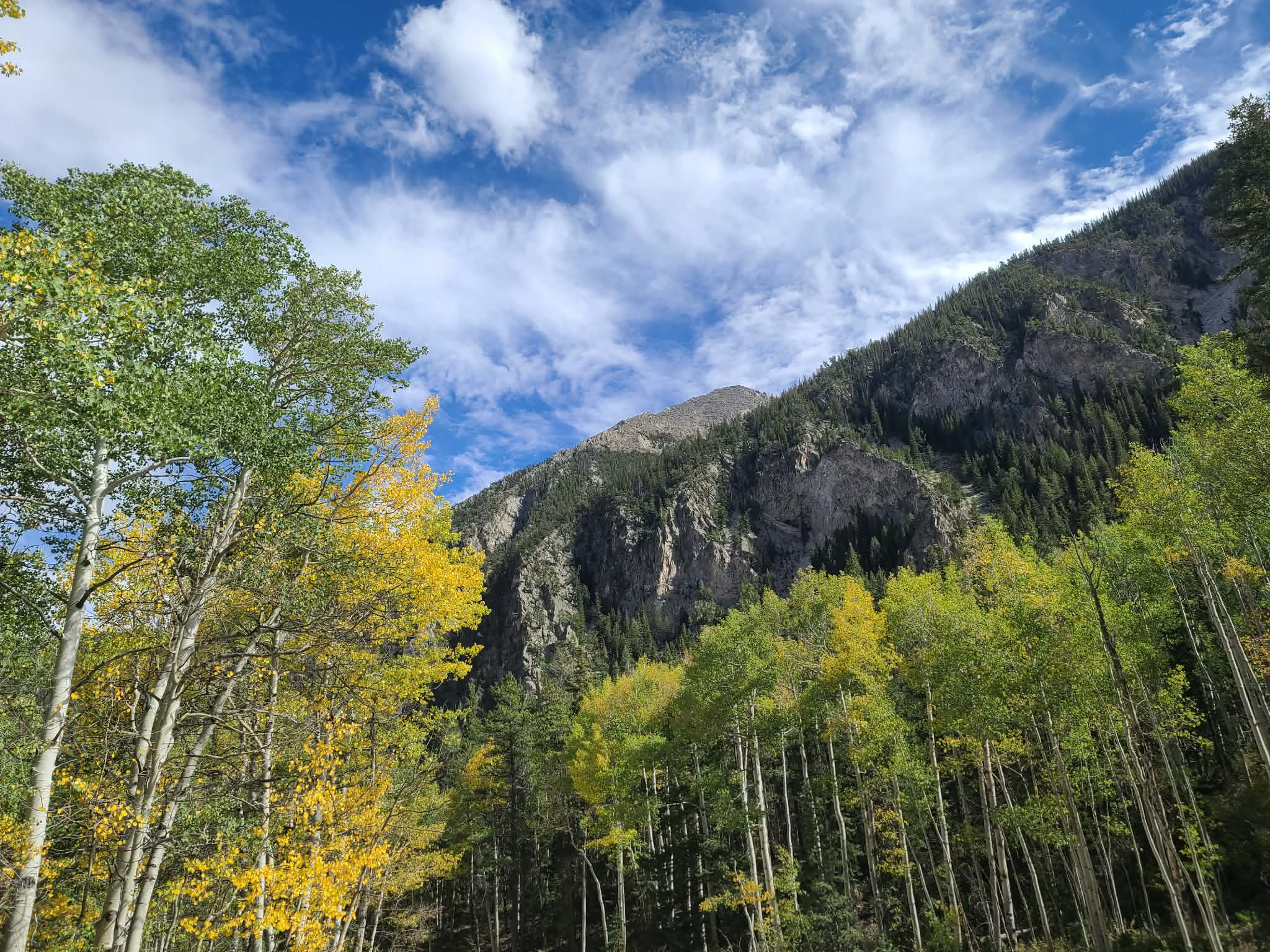 Camping beneath the Collegiate Peaks near Buena Vista Colorado
