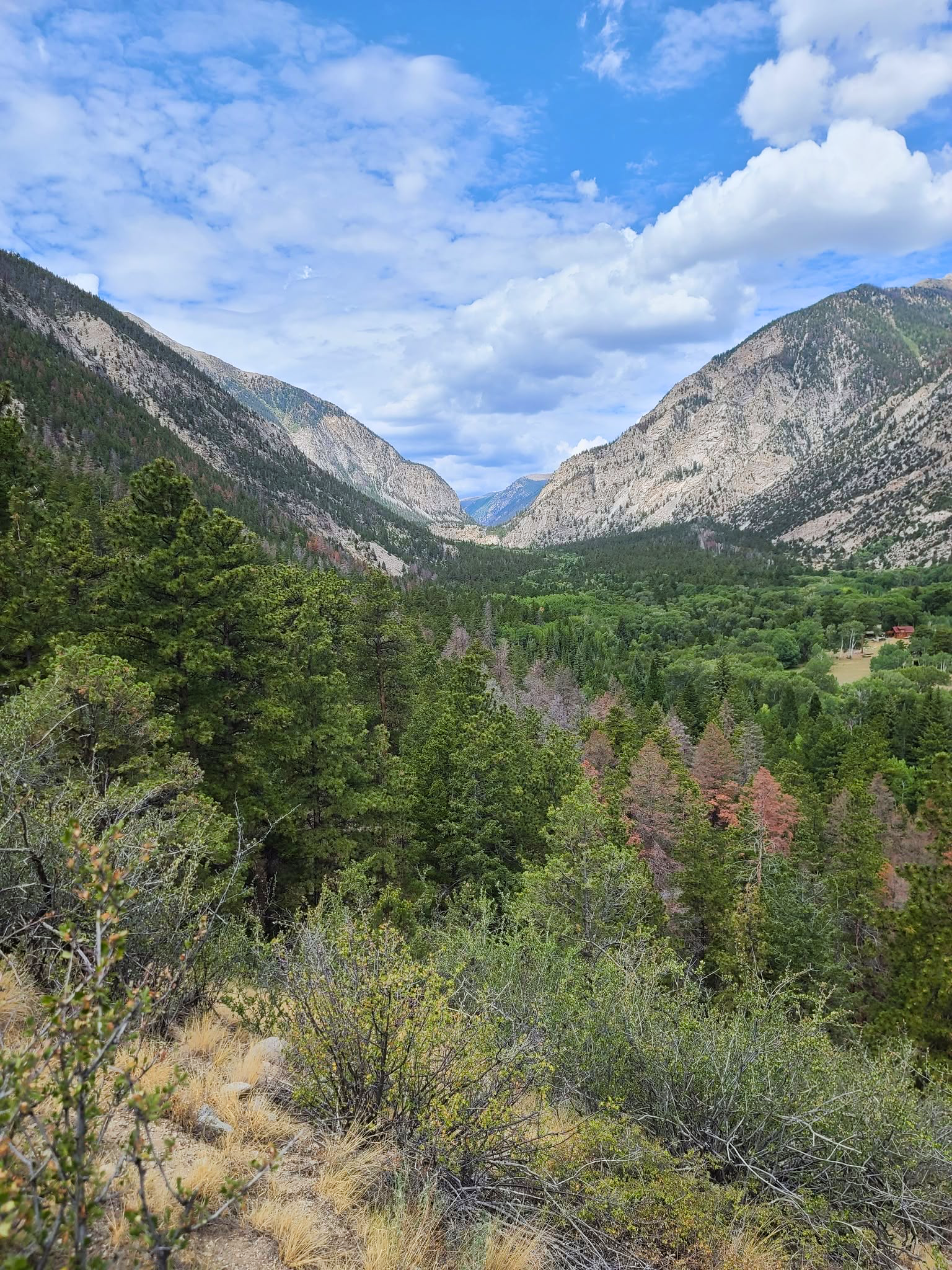 Narrow Gauge Trail above Chalk Creek Canyon near Nathrop Colorado